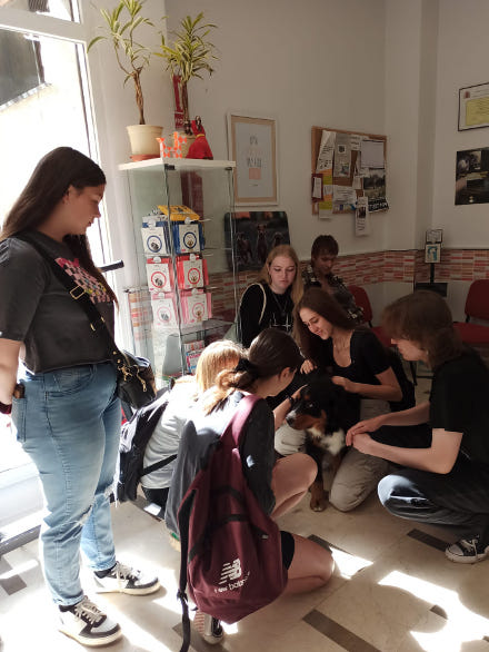 grupa uczniów w klinice weterynaryjnej – głaszczą psa