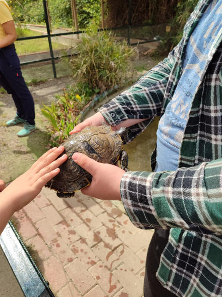 uczeń opiekujący się żółwiem